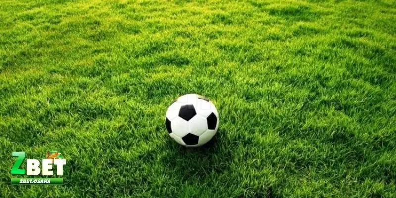 Kinh nghiệm đánh kèo tài xỉu